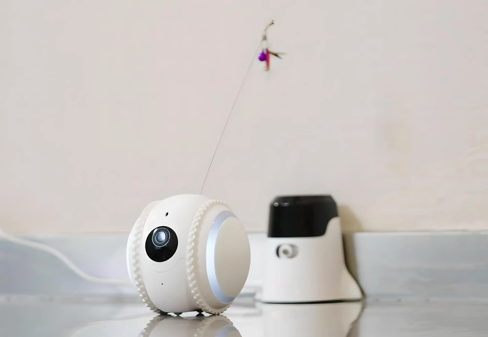 best indoor pet camera