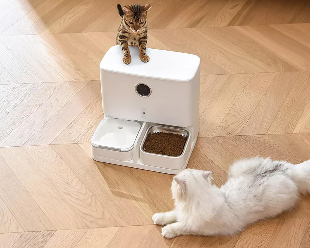 automatic pet feeding system